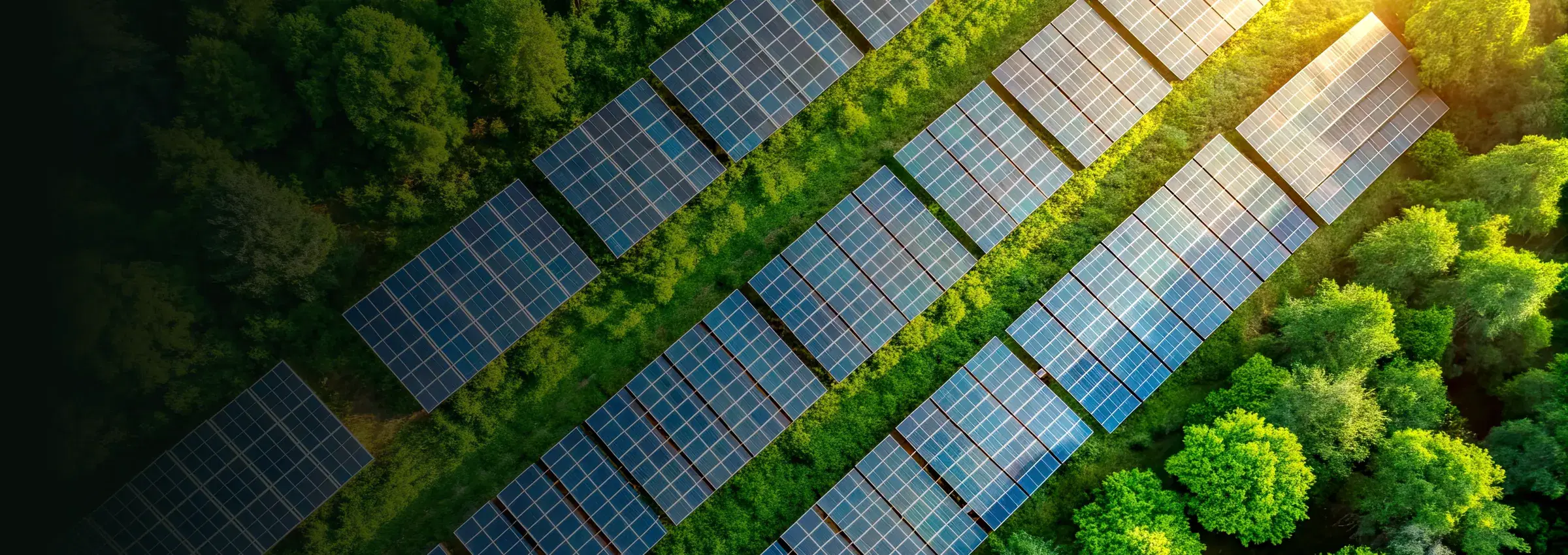 Aerial view of a ground-mounted solar array beside dense woodland