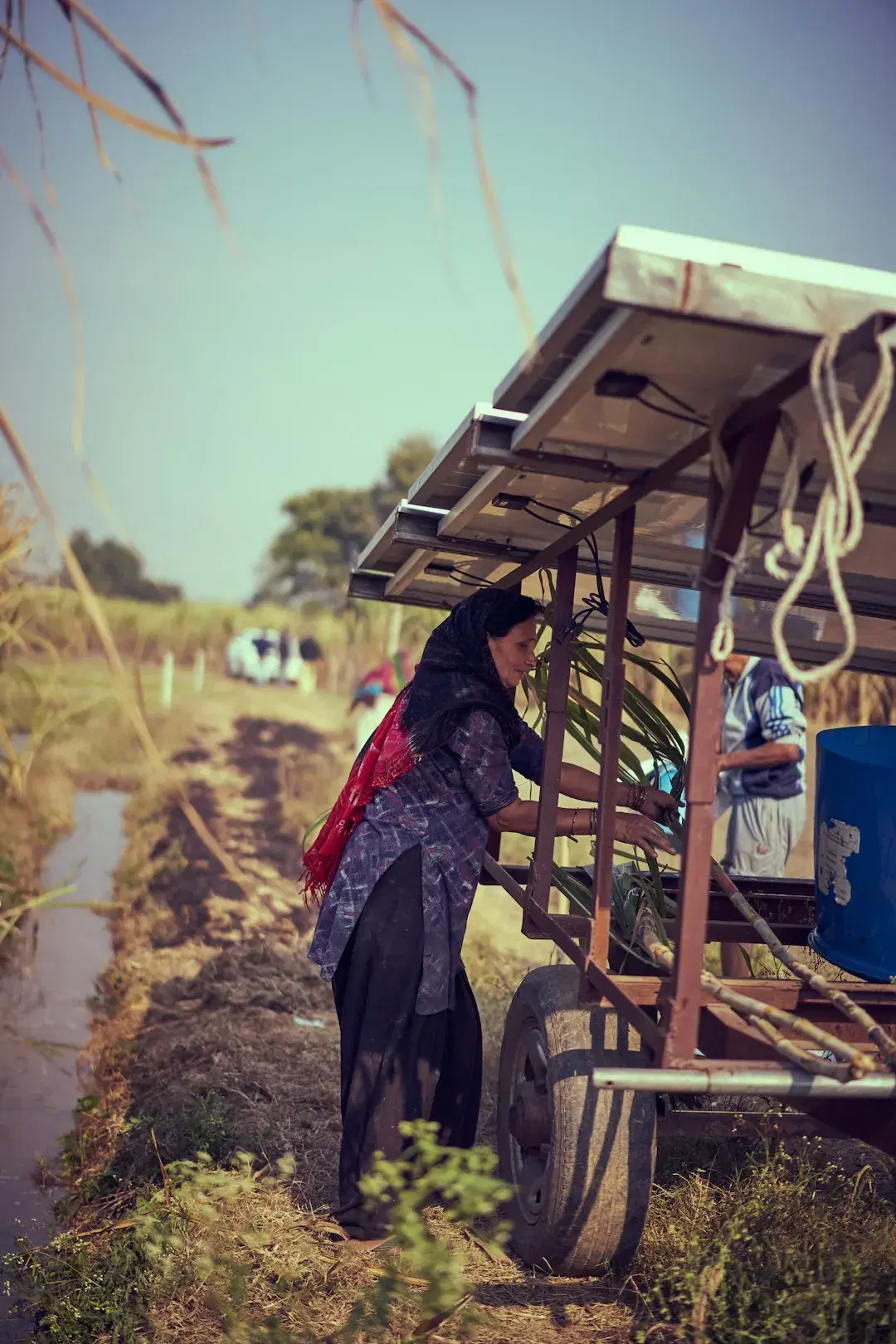 Technician working on a rural solar water-pump installation among green fields
